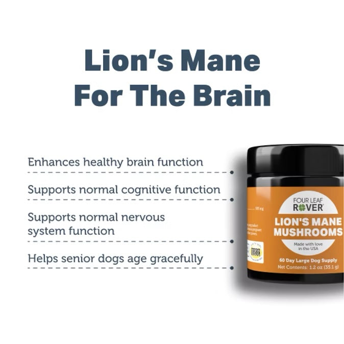 Lion&