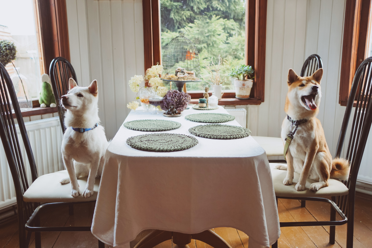 Thanksgiving Treats...Yes or No?