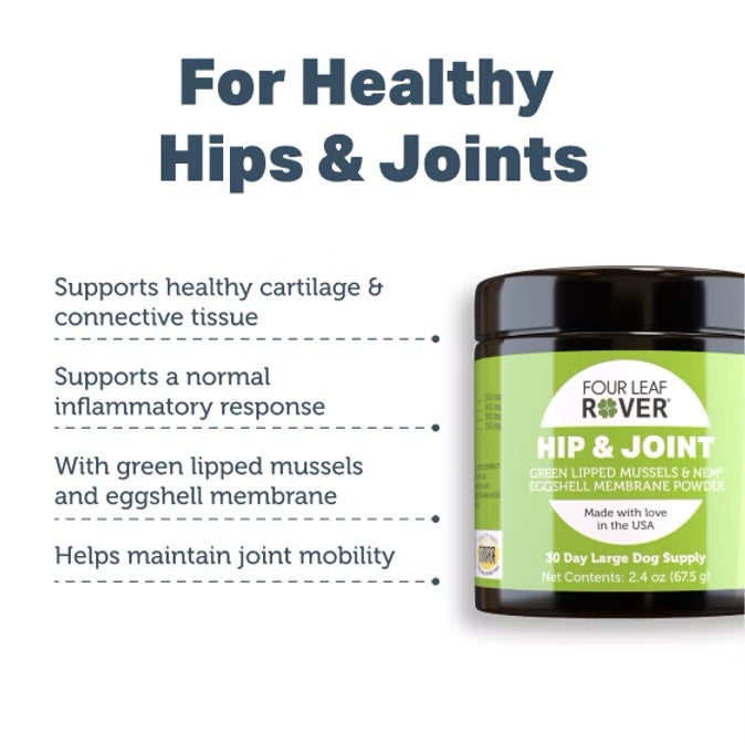 Hip &amp; Joint