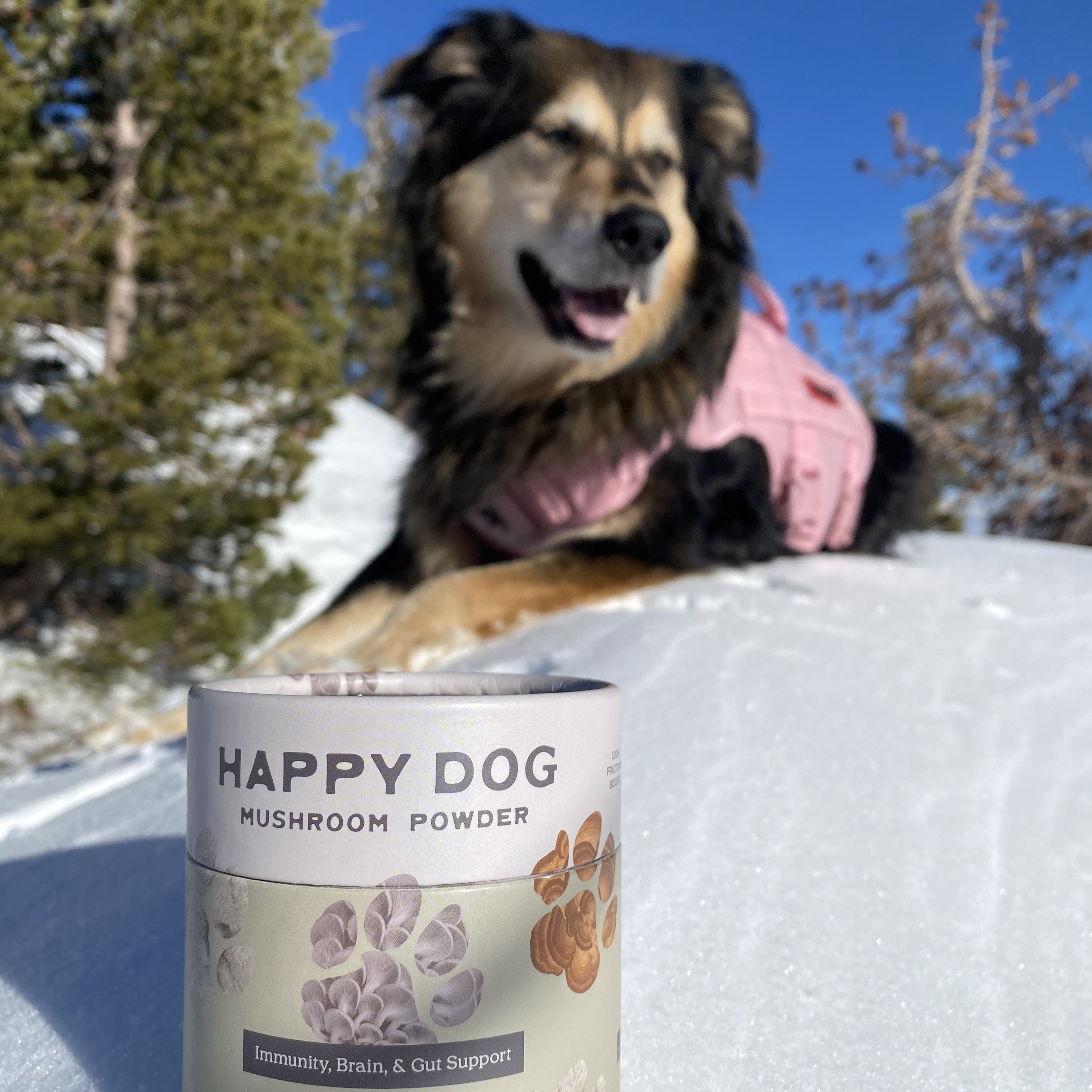 Happy Dog Mushroom Powder